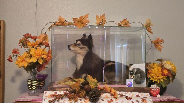 Brand Spankin Used Thrift Store