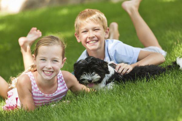 we use environmentally safe products that are safe for your whole family.