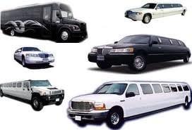 Mesa Transportation Service