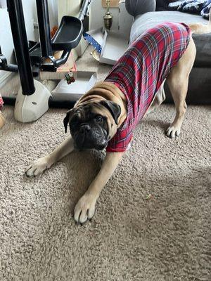 Countryside Animal Clinic