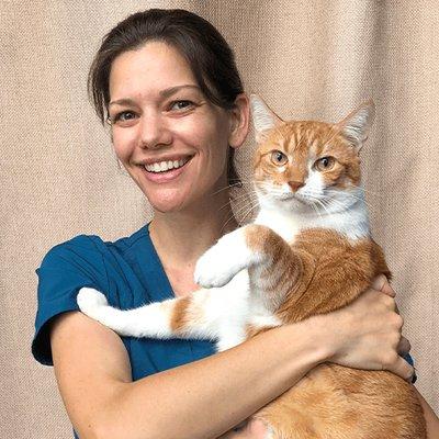 BetterVet Philadelphia, Mobile Vet Care