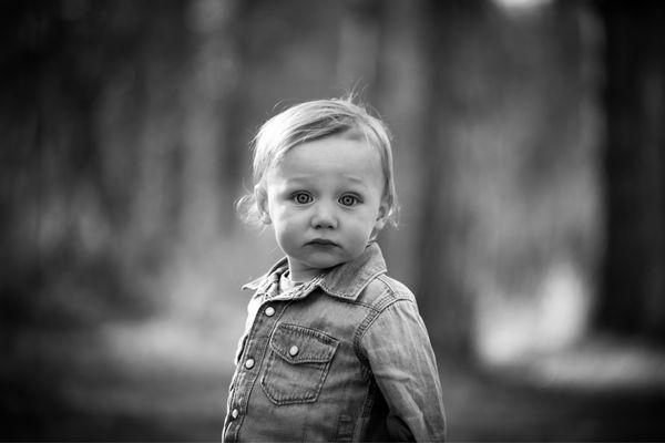 East River Pines Photography