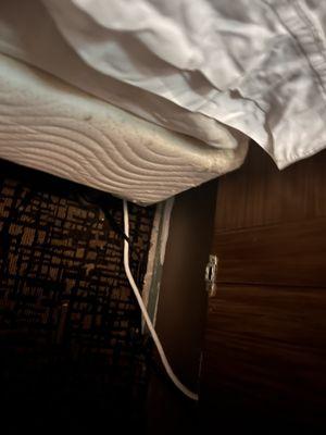 Who know what lives there