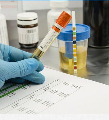 ICT Evolution Services