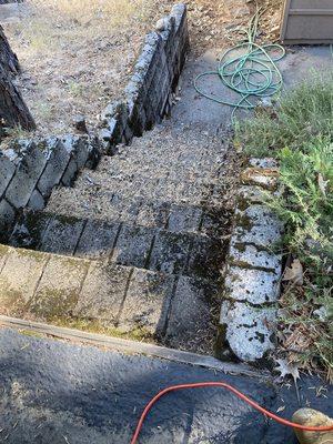 Tactical Landscaping and Home Repair