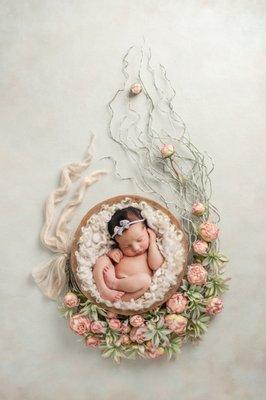 Rhea Ashlynn Photography