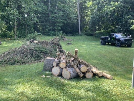 Branch Hands Tree Service & General Contracting