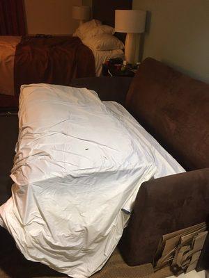 Pull out bed the owner claimed to have never had!q