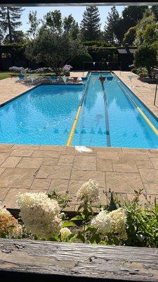 Commercial Swimming Pool Service