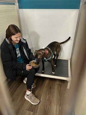 Baltimore Bark House