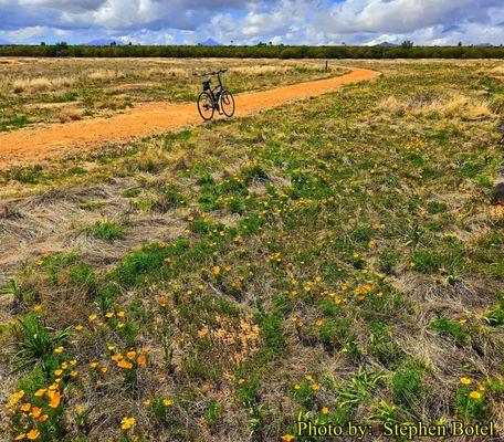 Reach 11 Sports Complex