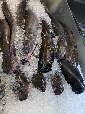 Community Green Market