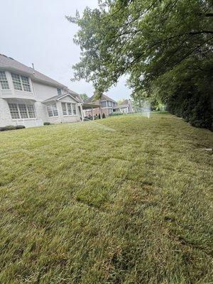 Top Tier Irrigation and Landscape