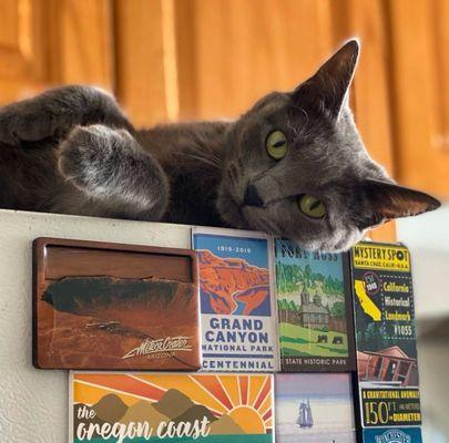 Princeton Veterinary Clinic