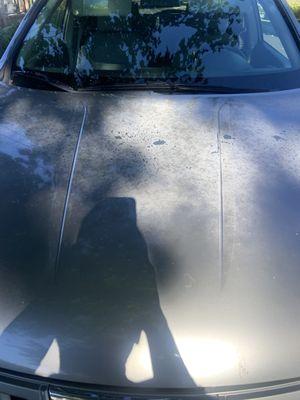 One Day Paint & Body Centers