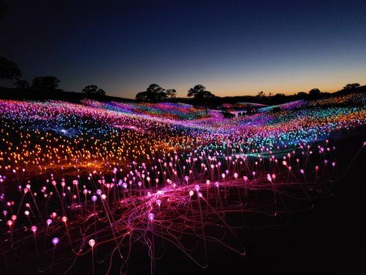 Sensorio is something not to be missed!