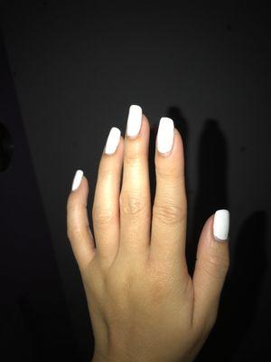 Beautiful! They've lasted so long, this is after 1 1/2 weeks.