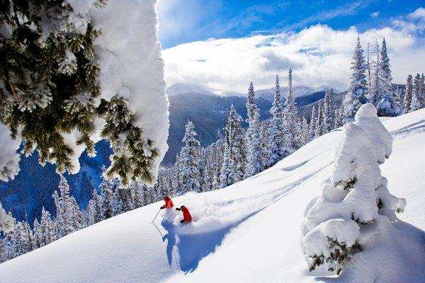 Mountain Resort Concierge