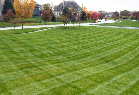 We offer mowing and Trimming!