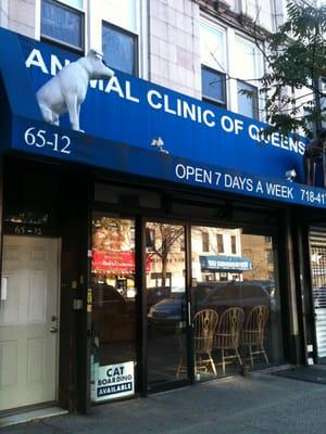 A Animal Clinic of Queens