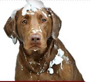 Keltons Hardware and Pet