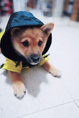 Bath Animal Hospital