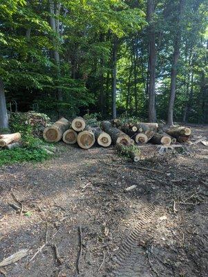 Chubb's Property Management