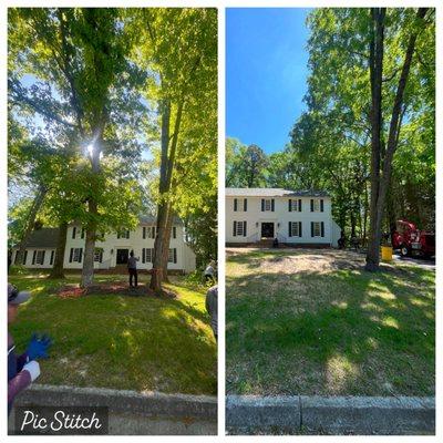 Javier Pro Tree Service