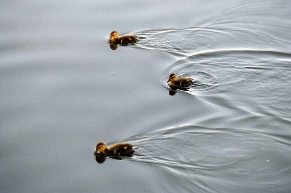 35mm film development