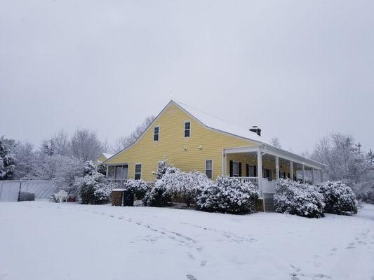 Unleashed Pet Resort