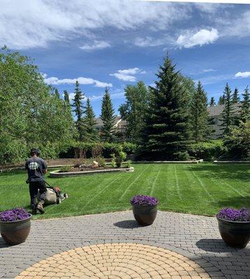 Rogelio Landscaping Services