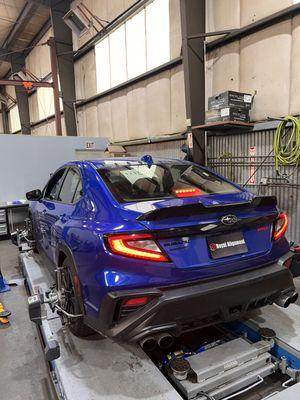 Royal Alignment and Collision