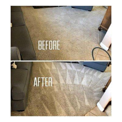 Center city Carpet Care