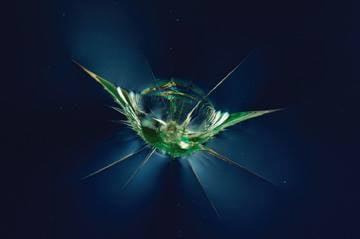 Don't Wait Windshield Repair