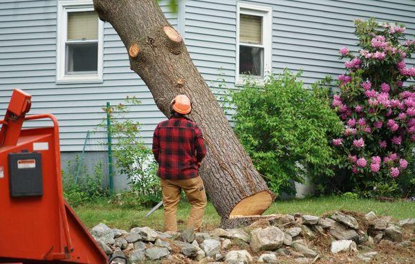 Diversified Tree Service