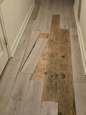 Magnolia Property Management