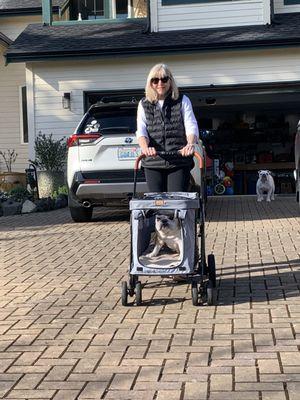 Mom and Mini taking a stroll through the neighborhood.