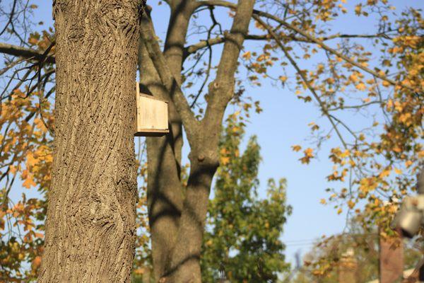 Pembroke Avenue Community Garden