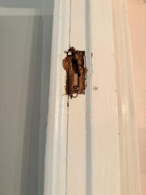 DLuxx House and Home