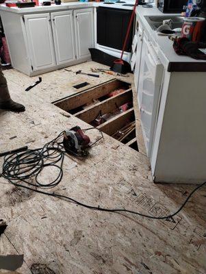 Lyells Handyman Service