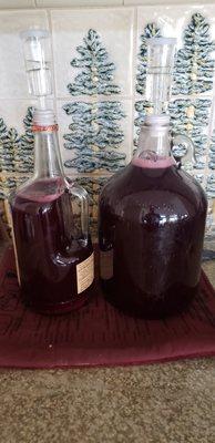 My blueberry wine at day 24.