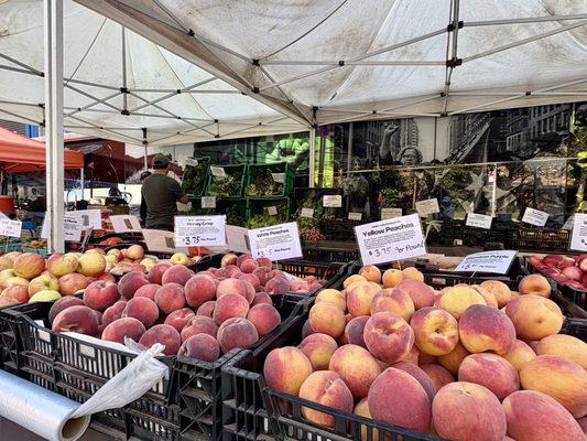 Harvest Home Farmers Market