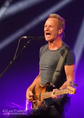 Fine Line Multimedia