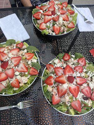 An amazing huge lunch full of chicken!