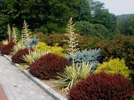 Perennia Landscaping
