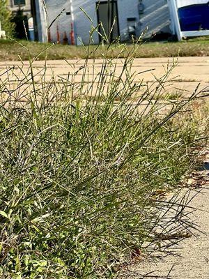 Neptune City Borough Hall