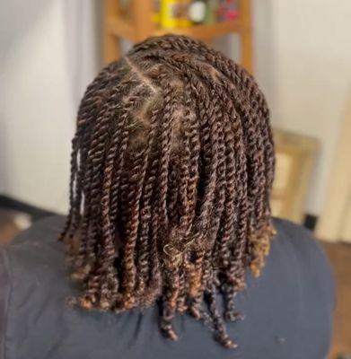 Two Strand Twist