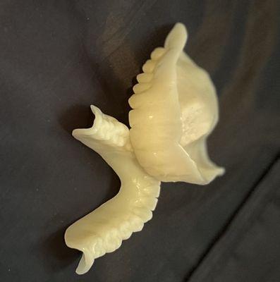 Hugh McDougall PhD, DDS