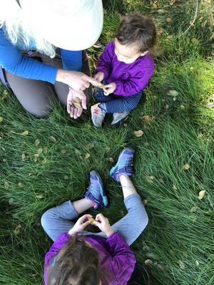 Salamander Nature Awareness Preschool