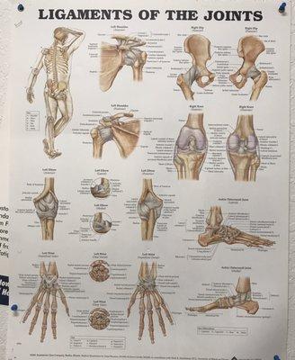 Frank Panoussi Chiropractic Corp